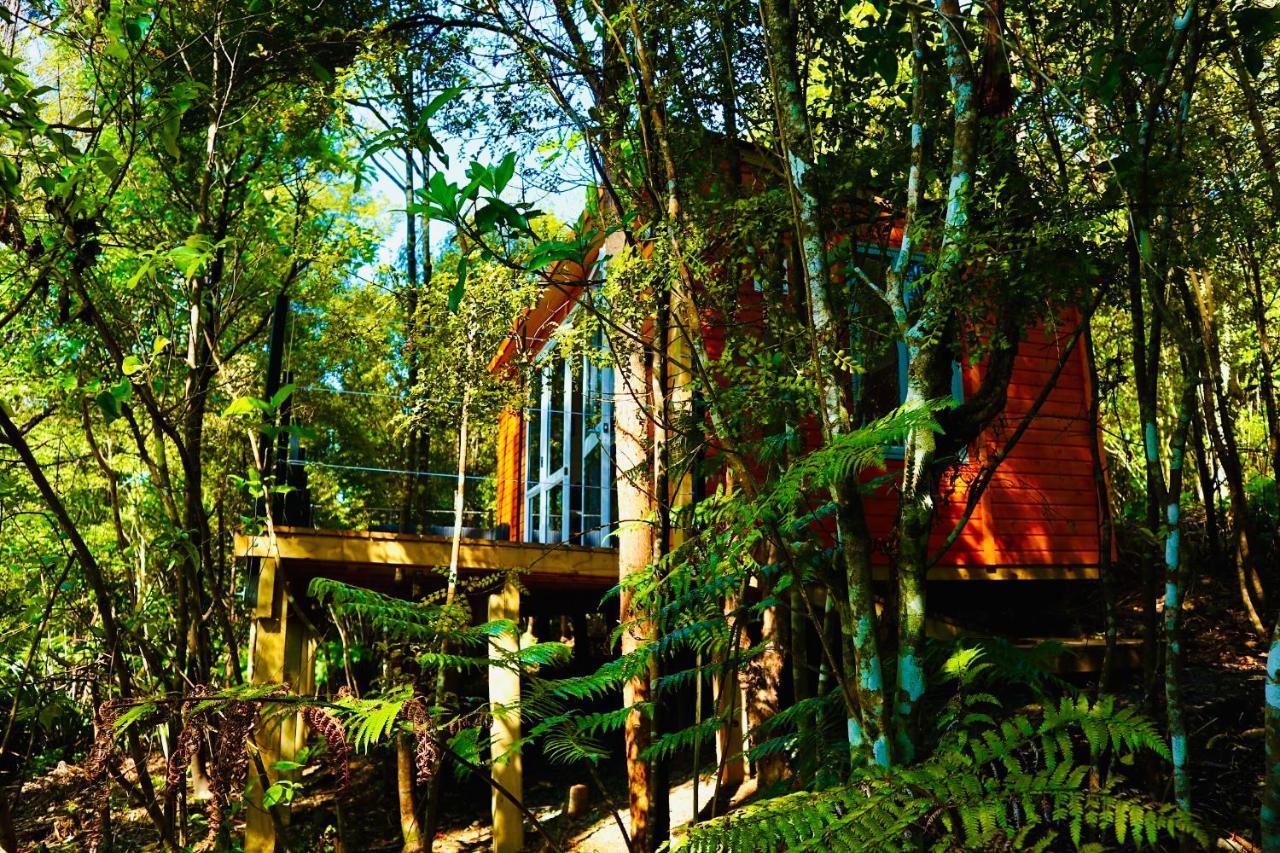Fantail Bush Chalet Villa Parakakau Exterior photo